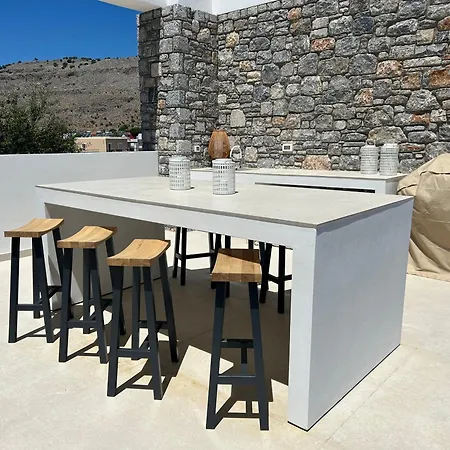 Olive Tree